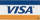 Icon Visa Card